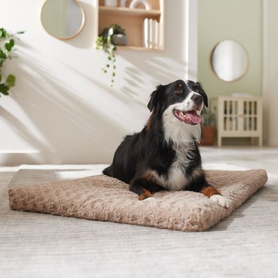 Frisco Frisco Swirl Dog Crate Mat, Mocha, 42"