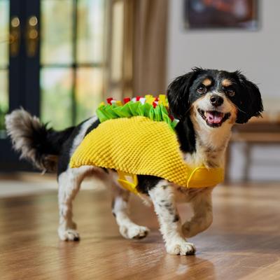 Show full view: Frisco Taco Dog & Cat Costume, Medium slide 6 of 8