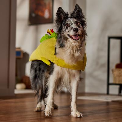 Show full view: Frisco Taco Dog & Cat Costume, X-Large slide 6 of 8