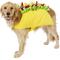 Show in main carousel: Frisco Taco Dog & Cat Costume, XX-Large slide 1 of 8