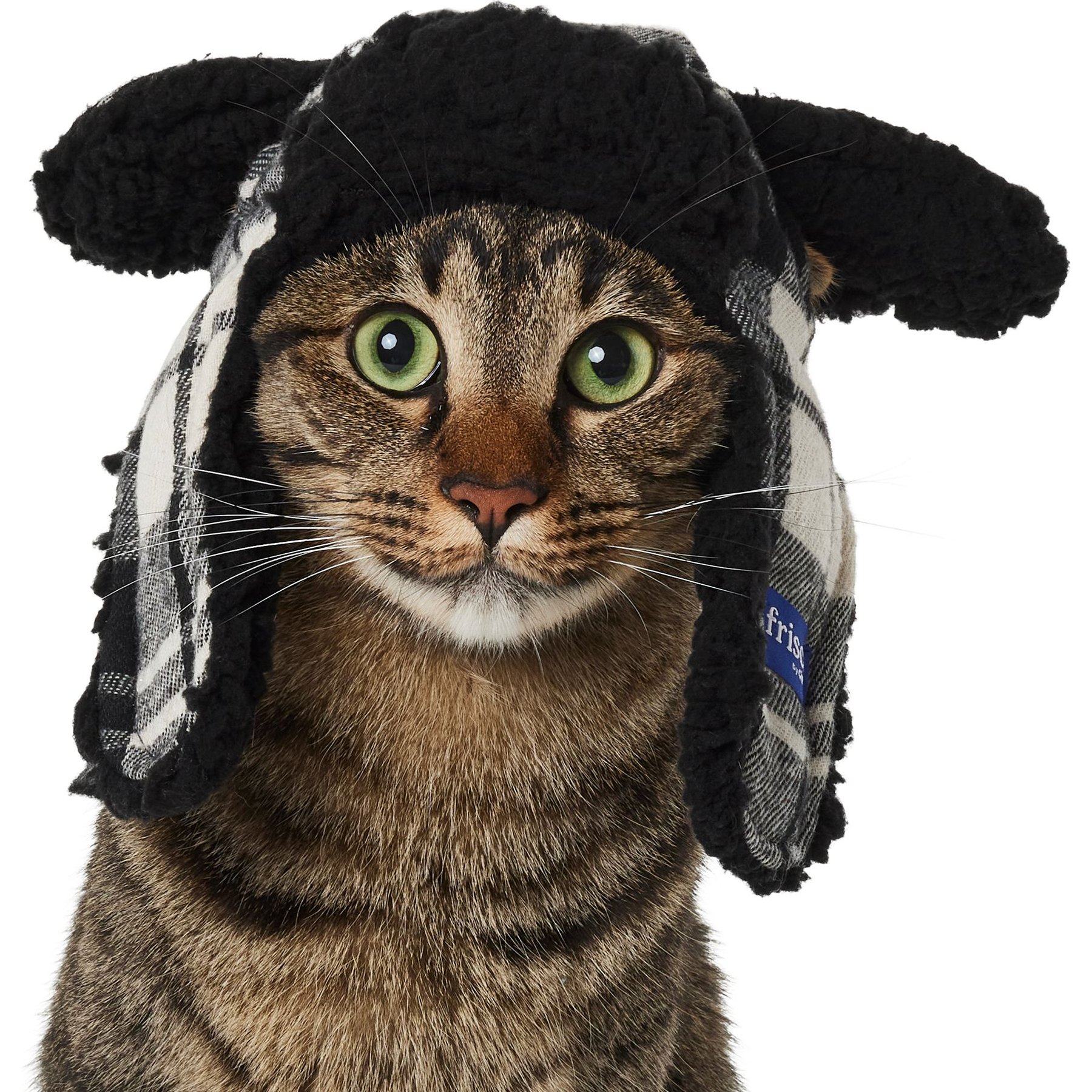Frisco Tartan Plaid Dog & Cat Trapper Hat, White, X-Small/Small