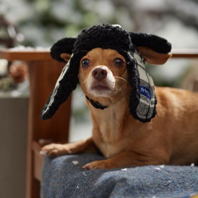 Show full view: Frisco Tartan Plaid Dog & Cat Trapper Hat, White, X-Small/Small slide 6 of 9