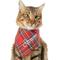 Show in main carousel: Frisco Tartan Plaid Embroidered Personalized Dog & Cat Bandana, Small slide 7 of 9