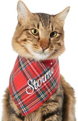 Show full view: Frisco Tartan Plaid Embroidered Personalized Dog & Cat Bandana, Small slide 7 of 9
