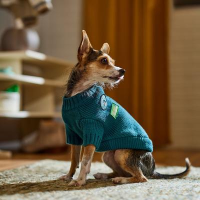 Show full view: Frisco Teal Button Down Dog & Cat Sweater, Large slide 6 of 9