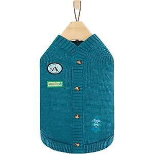 Frisco Teal Button Down Dog & Cat Sweater, X-Small