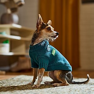 Frisco Teal Button Down Dog & Cat Sweater, X-Small