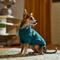 Show in main carousel: Frisco Teal Button Down Dog & Cat Sweater, XX-Large slide 5 of 8