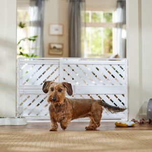 Frisco Tension Mounted Plastic Dog Gate, White, 23-in