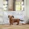 Show in main carousel: Frisco Tension Mounted Plastic Dog Gate, White, 23-in slide 1 of 8