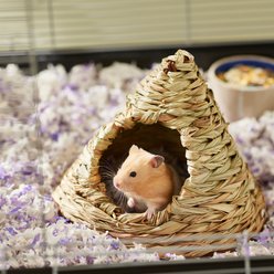 Frisco Tent Small Pet Hideout, Large