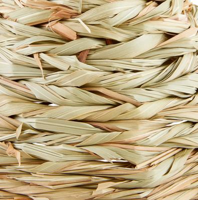 Show full view: Frisco Tent Small Pet Hideout, Small slide 3 of 5