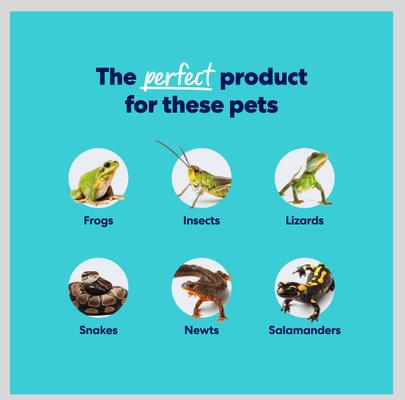 Show full view: Frisco Terrarium Sphagnum Moss Reptile Bedding, 4-qt slide 5 of 6