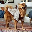 Show in main carousel: Frisco Textured Wubby 2-Tone Fleece Dog & Cat Hoodie, Brown, X-Large slide 7 of 9