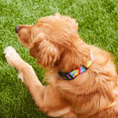 Show full view: Frisco Tie Dye Swirl Polyester Personalized Dog Collar, Large: 18 to 26-in neck, 1-in wide slide 5 of 6