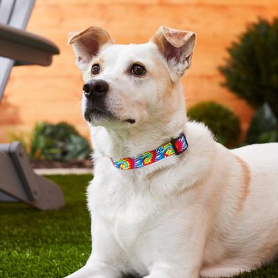 Show full view: Frisco Tie Dye Swirl Polyester Personalized Dog Collar, Medium: 14 to 20-in neck, 3/4-in wide slide 5 of 6
