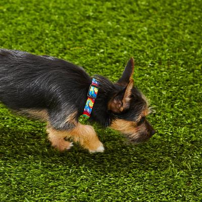 Show full view: Frisco Tie Dye Swirl Polyester Personalized Dog Collar, X-Small: 8 to 12-in neck, 5/8-in wide slide 6 of 7