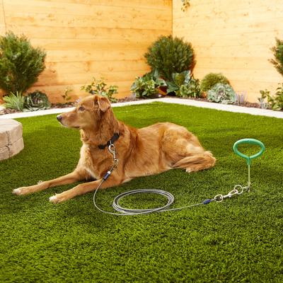 Show full view: Frisco Tie Out Cable, 30-ft slide 3 of 5