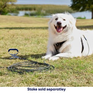 Frisco Tie Out Cable, 40-ft