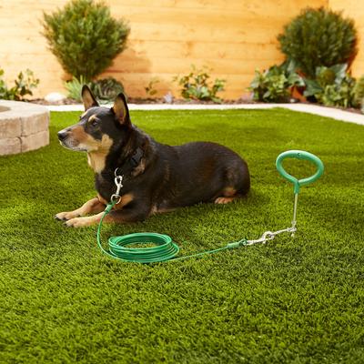 Show full view: Frisco Tie Out Cable, Green, 15-ft slide 2 of 4
