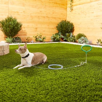 Show full view: Frisco Tie Out Cable, Small, 10-ft slide 3 of 5