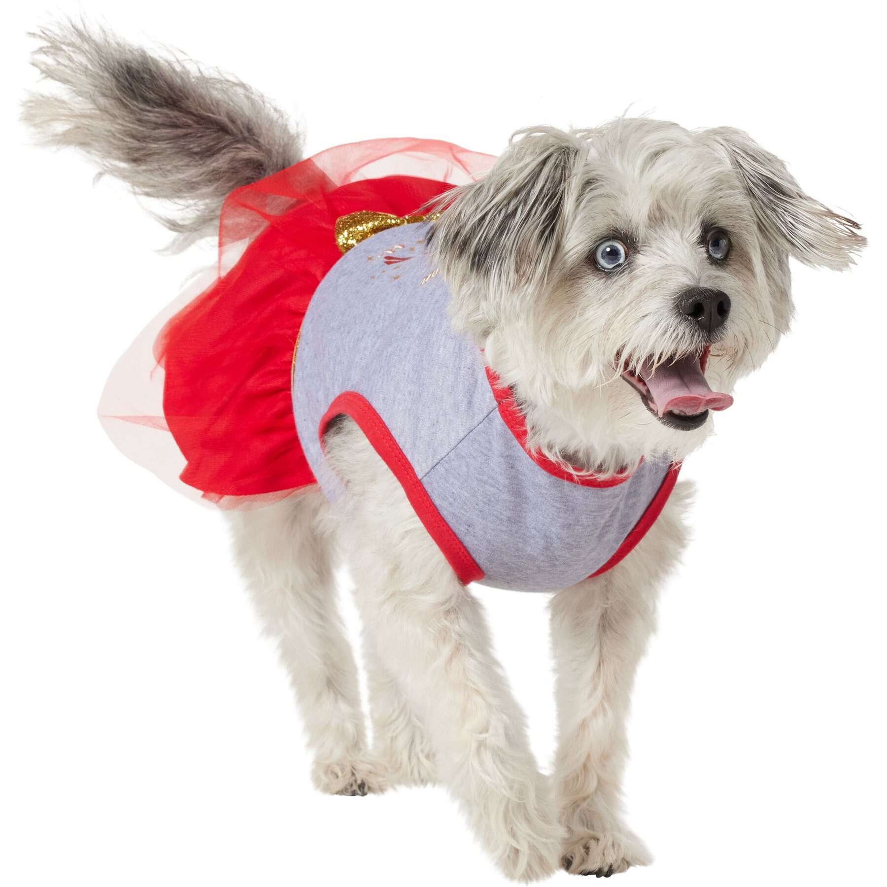 Frisco 'Tis the Season to Sparkle Dog & Cat Dress, Large