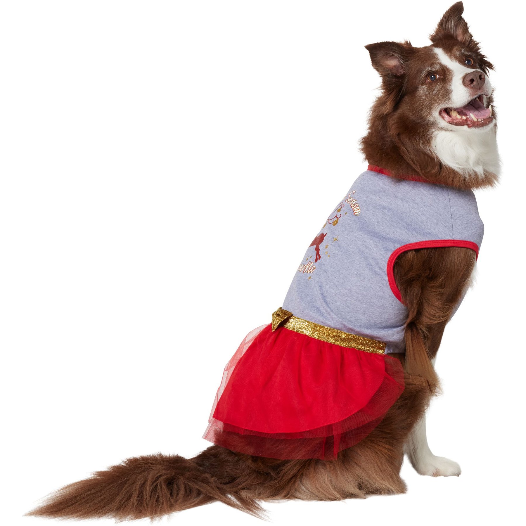 Frisco 'Tis the Season to Sparkle Dog & Cat Dress, XX-Large