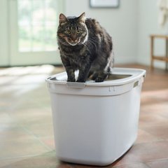 Frisco Top Entry Cat Litter Box, Extra Large, Gray, 23-in