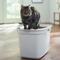 Show in main carousel: Frisco Top Entry Cat Litter Box, Extra Large, Gray, 23-in slide 1 of 7