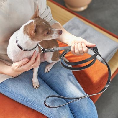 Show full view: Frisco Top Grain Leather Leash, Black, Medium: Width: 5/8th'', Length 6ft slide 3 of 5