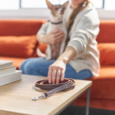 Show full view: Frisco Top Grain Leather Leash, Latigo, Large: Width: 3/4th'', Length 6ft slide 3 of 5