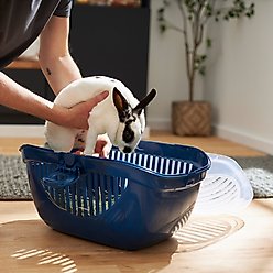 Frisco Top Loading Small Pet Carrier, Medium