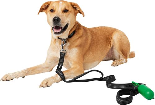 Show full view: Frisco Traffic Leash with Dual Padded Handles & Poop Bag Dispenser, Black, 4-ft long, 1 count slide 4 of 7