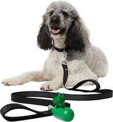 Frisco Traffic Leash with Dual Padded Handles & Poop Bag Dispenser, Black, 6-ft long, 1 count slide 2 of 5