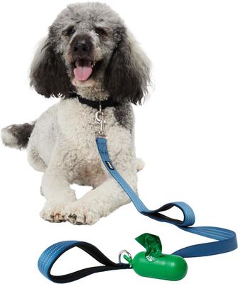 Show full view: Frisco Traffic Leash with Dual Padded Handles & Poop Bag Dispenser, Blue, 4-ft long slide 4 of 7