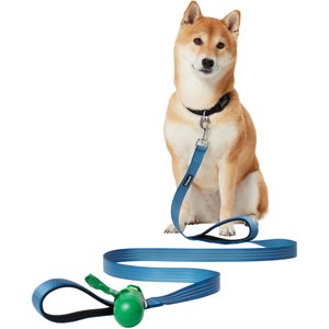 Frisco Traffic Leash with Dual Padded Handles & Poop Bag Dispenser, Blue, 6-ft long