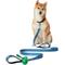 Show in main carousel: Frisco Traffic Leash with Dual Padded Handles & Poop Bag Dispenser, Blue, 6-ft long slide 3 of 6