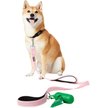 Show in main carousel: Frisco Traffic Leash with Dual Padded Handles & Poop Bag Dispenser, Pink, 4-ft long slide 3 of 6