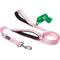 Show in main carousel: Frisco Traffic Leash with Dual Padded Handles & Poop Bag Dispenser, Pink, 6-ft long slide 1 of 6