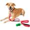Show in main carousel: Frisco Traffic Leash with Dual Padded Handles & Poop Bag Dispenser, Red, 4-ft long slide 3 of 6