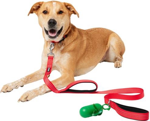 Show full view: Frisco Traffic Leash with Dual Padded Handles & Poop Bag Dispenser, Red, 4-ft long slide 3 of 6