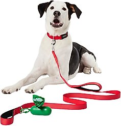 Frisco Traffic Leash with Dual Padded Handles & Poop Bag Dispenser, Red, 6-ft long slide 2 of 5