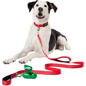 Frisco Traffic Leash with Dual Padded Handles & Poop Bag Dispenser, Red, 6-ft long