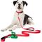 Show in main carousel: Frisco Traffic Leash with Dual Padded Handles & Poop Bag Dispenser, Red, 6-ft long slide 4 of 7