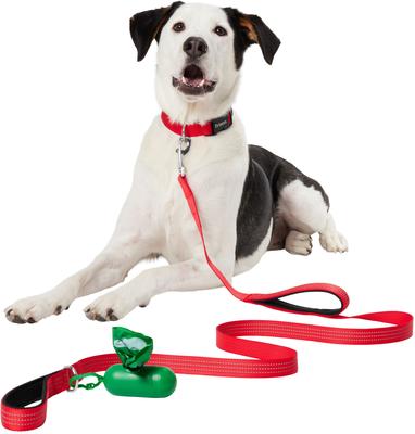 Show full view: Frisco Traffic Leash with Dual Padded Handles & Poop Bag Dispenser, Red, 6-ft long slide 4 of 7