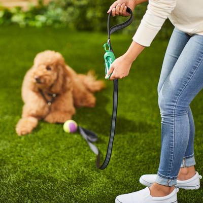 Show full view: Frisco Traffic Leash with Padded Handles & Poop Bag Dispenser, Black, Length: 6ft, Width: 1-in + Refill Dog Poop Bags, Scented, 120 count slide 9 of 9