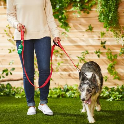 Show full view: Frisco Traffic Leash with Padded Handles & Poop Bag Dispenser, Red, Length: 6ft, Width: 1-in + Refill Dog Poop Bags, Scented, 120 count slide 9 of 9