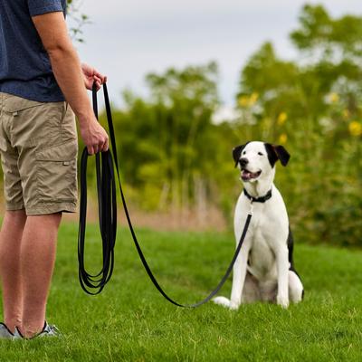 Show full view: Frisco Training Leash, Black, 15-ft slide 3 of 6
