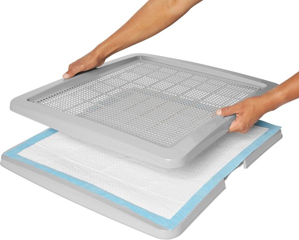 Dog Potty Training Petsmart Pee Pad Holder FRISCO Training Pad