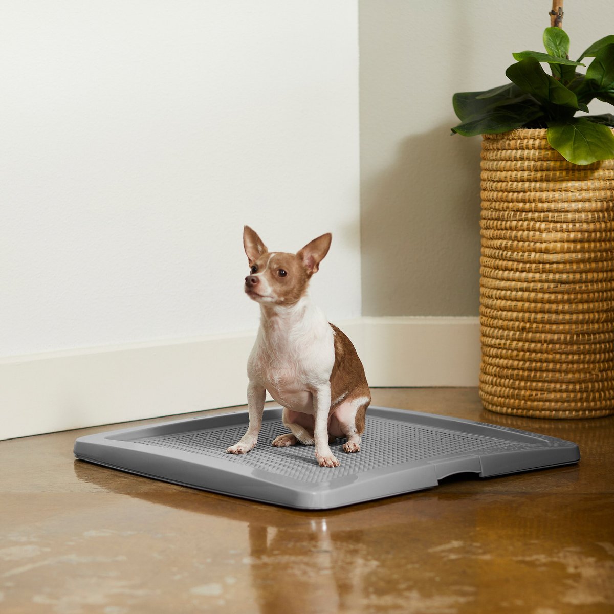 Frisco Training Pad Holder, 24-in x 24-in
